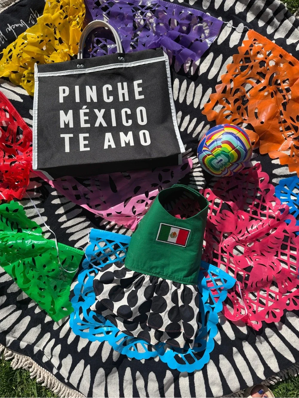Handmade Pet Mexican Flag Applique Dress with Black & White Polka Skirt